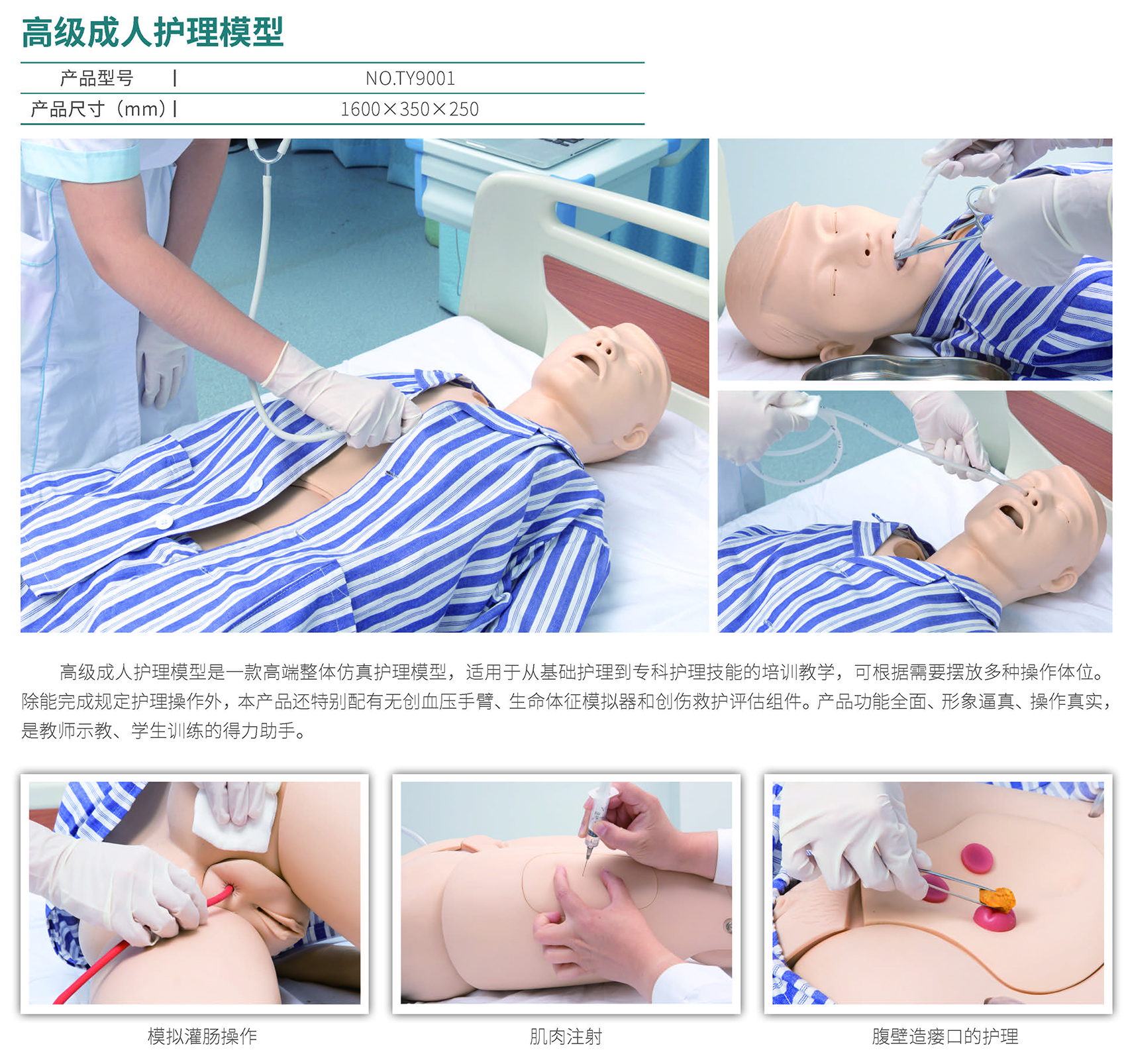 高级成人护理平台3.0